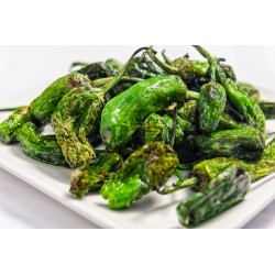 PIMIENTOS DE PADRON